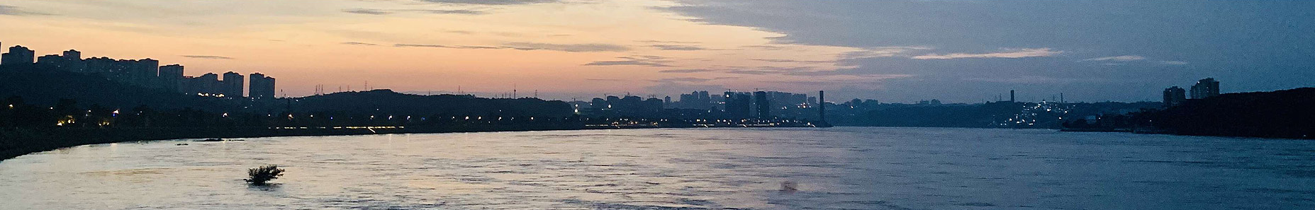 业务领域